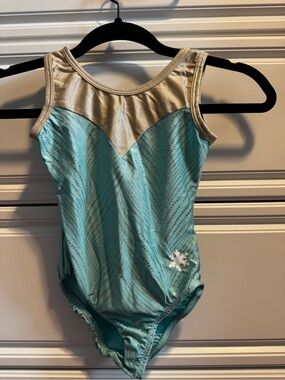 Snowflake Designs Mint and Champagne Girls Gymnastics Leotard